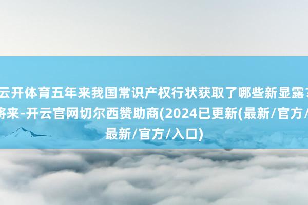 云开体育五年来我国常识产权行状获取了哪些新显露？面向将来-开云官网切尔西赞助商(2024已更新(最新/官方/入口)